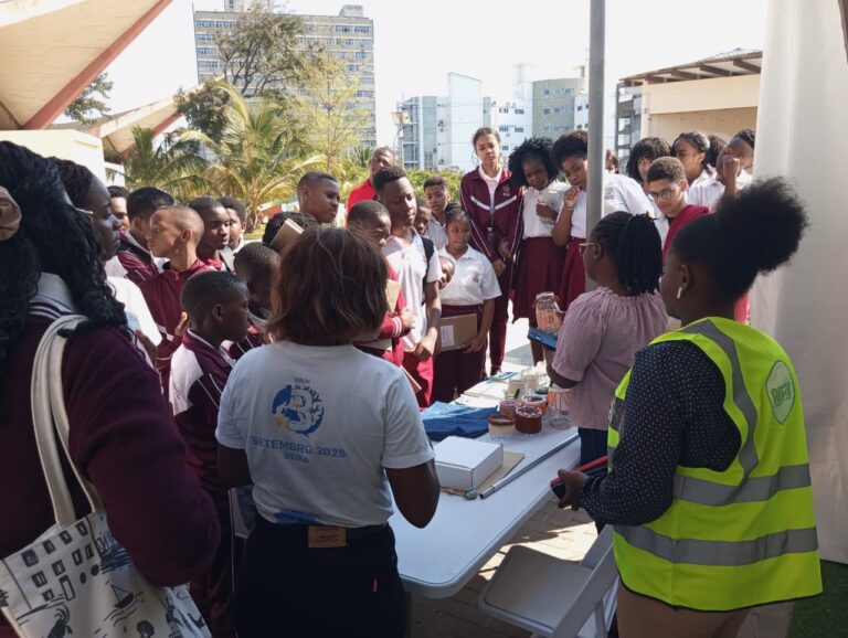 WhatsApp Image 2025-09-10 at 11.33